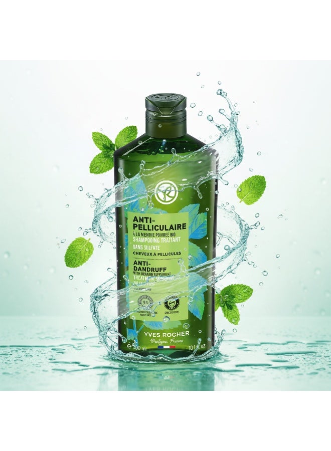 ايف روشيه ايف روشير شامبو مضاد للقشرة خالي من الكبريتات 300 مل - Image 5